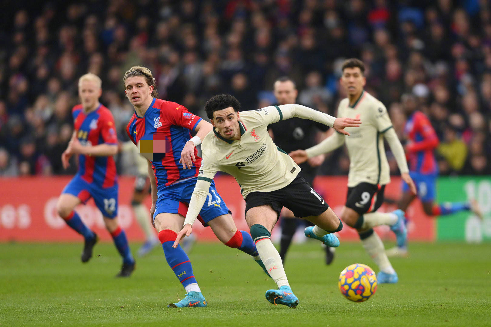 在近年来的 在近年来的